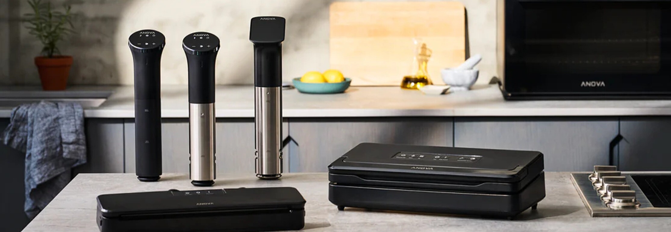 Anova Culinary brand