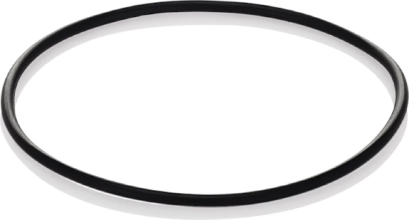 Replacement O-Ring for WFCB Water Filter 218720100