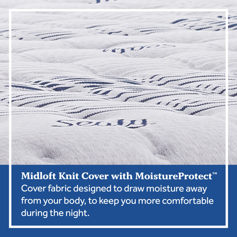 Evident King 52674961