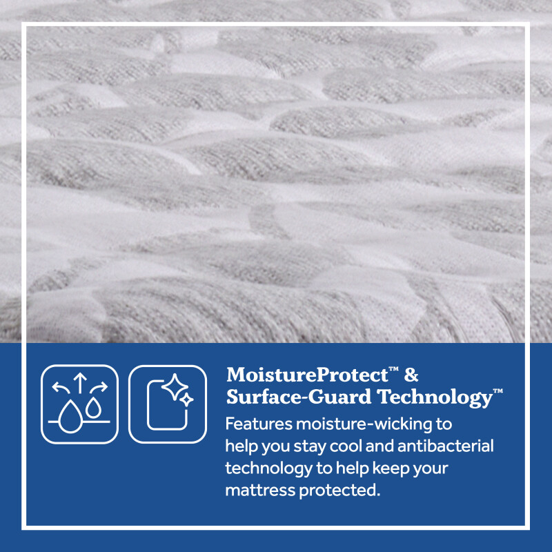 Diggens Soft Euro Pillow Top Full 52832040