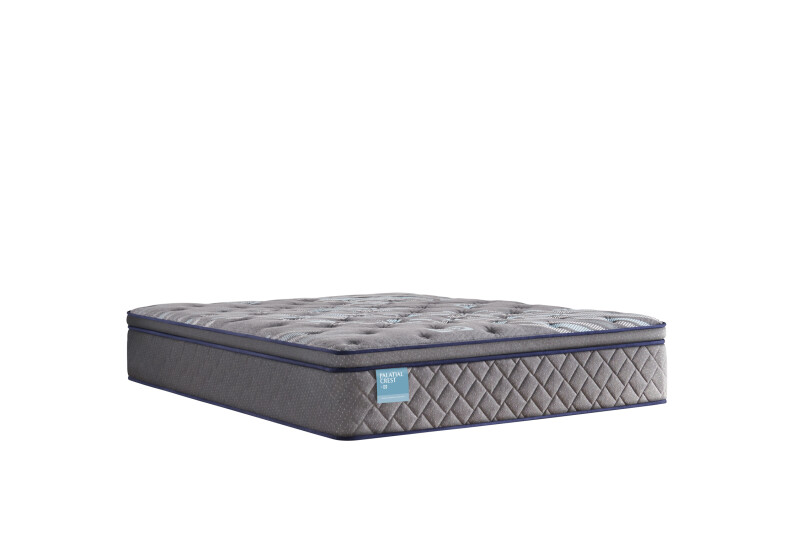 Delacroix Soft Euro Pillow Top Twin Long 53127631