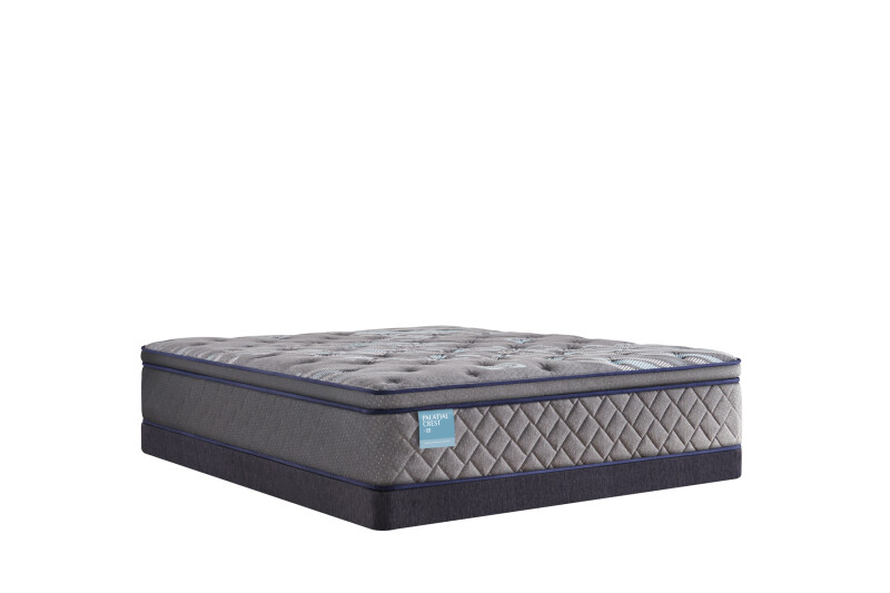 Delacroix Soft Euro Pillow Top Twin Long 53127631