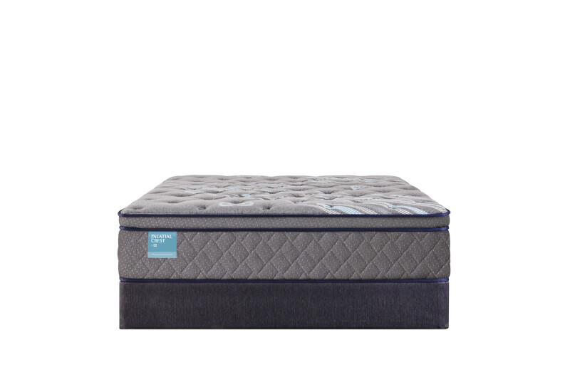 Delacroix Soft Euro Pillow Top King 53127661