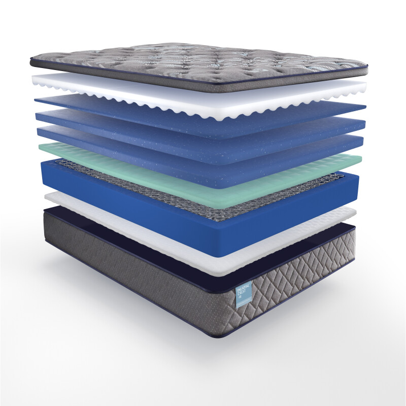Delacroix Soft Euro Pillow Top King 53127661