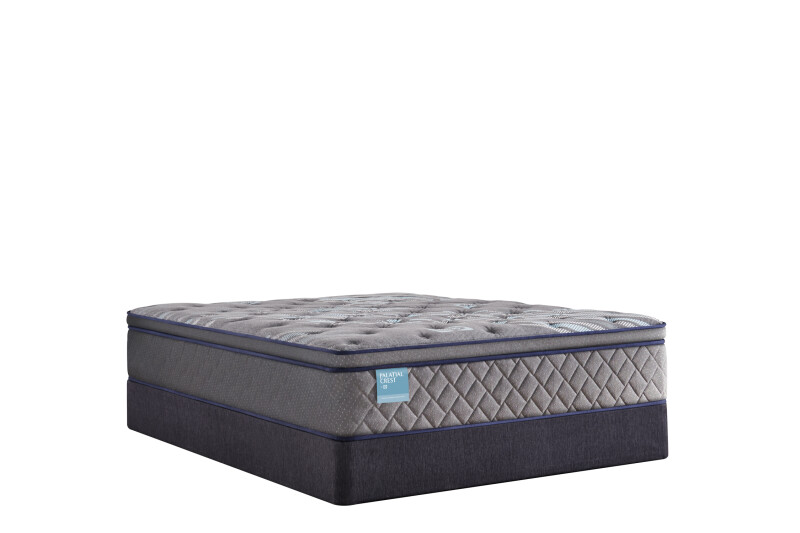 Delacroix Soft Euro Pillow Top Cal King 53127662