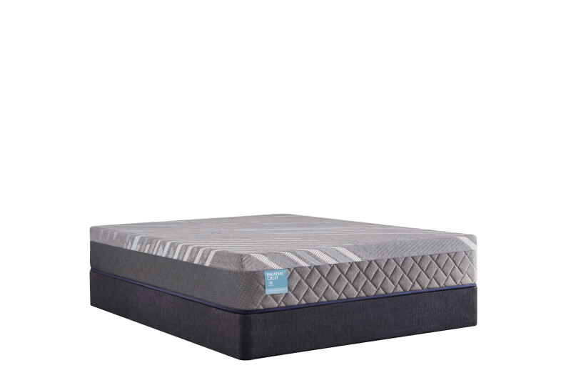 Delacroix Firm Hybrid Queen 53128051
