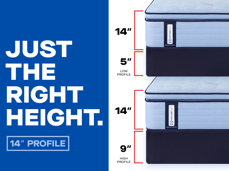 Dudley Euro Pillow Top Medium Twin XL 53216231