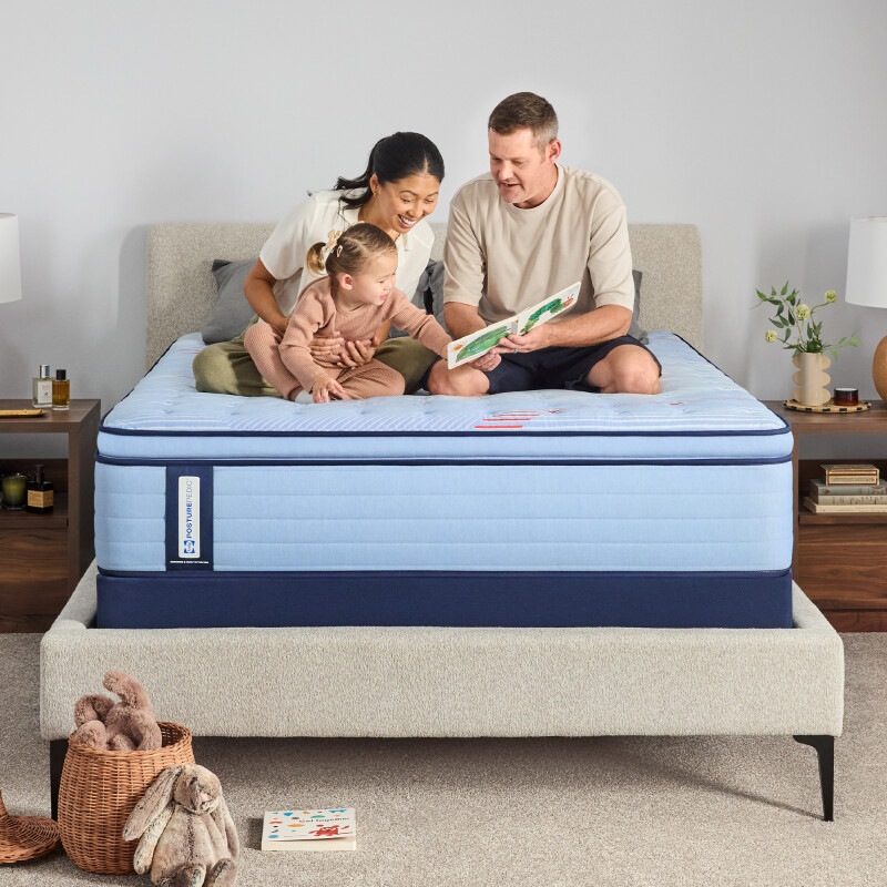 Dudley Euro Pillow Top Soft Twin XL 53216331