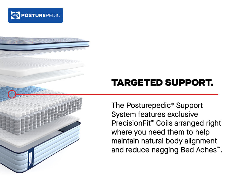 Dudley Euro Pillow Top Soft Full 53216340