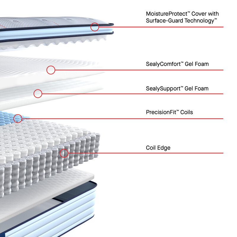 Dudley Euro Pillow Top Soft Cal King 53216362
