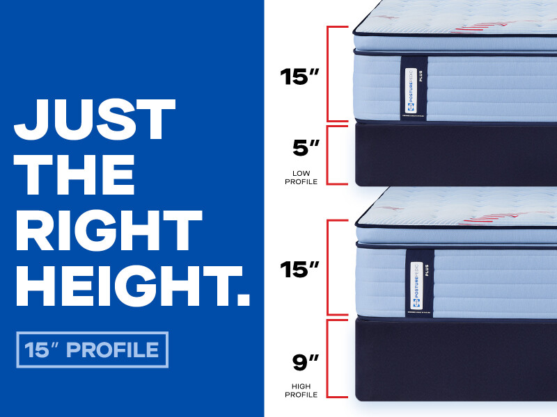 Equus Euro Pillow Top Firm Full 53216740