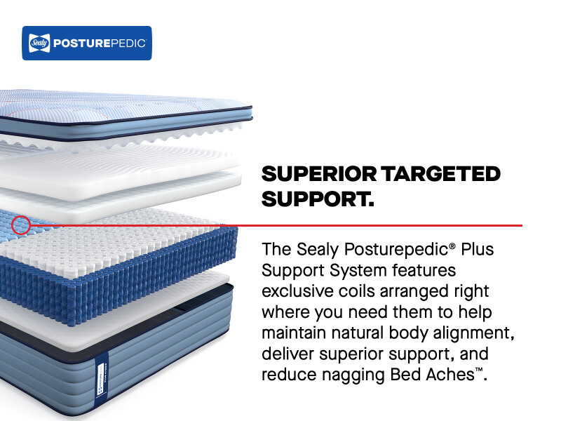 Equus Euro Pillow Top Firm Cal King 53216762