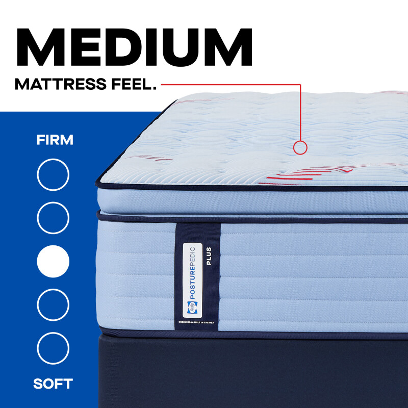 Equus Euro Pillow Top Medium Queen 53216851