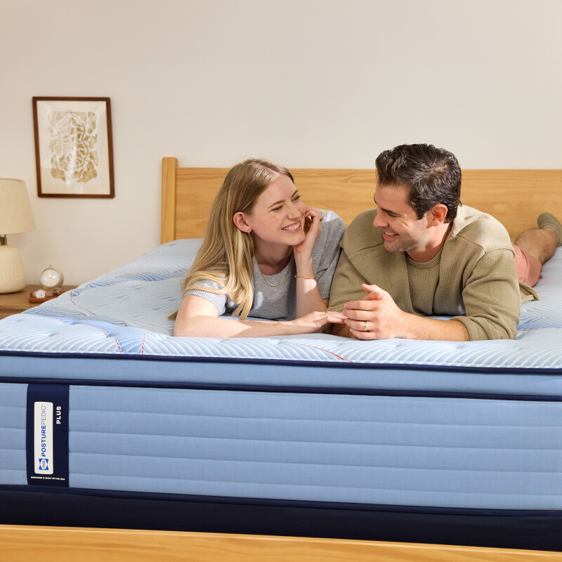 Equus Euro Pillow Top Medium Queen 53216851