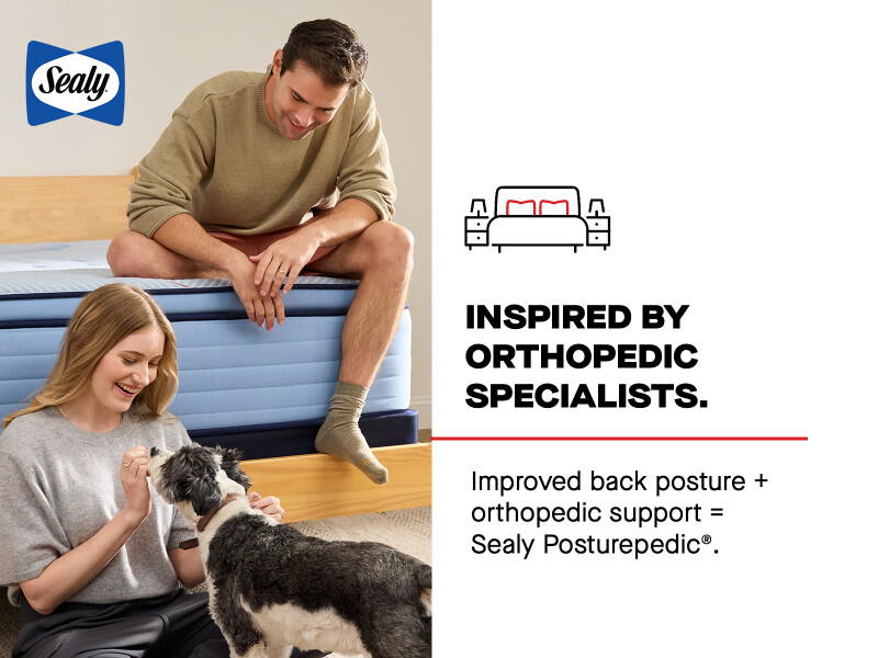 Equus Euro Pillow Top Soft Queen 53216951