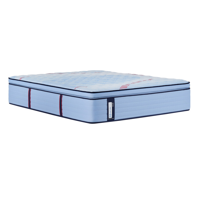 Equus Euro Pillow Top Soft King 53216961