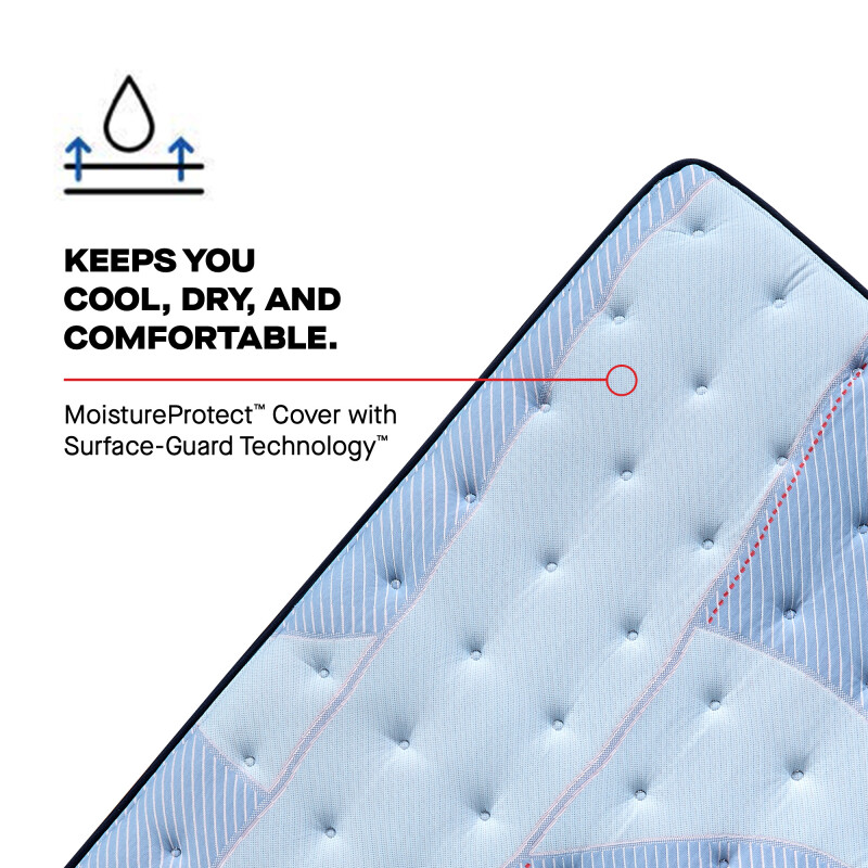 Goddard Euro Pillow Top Soft King 53217961