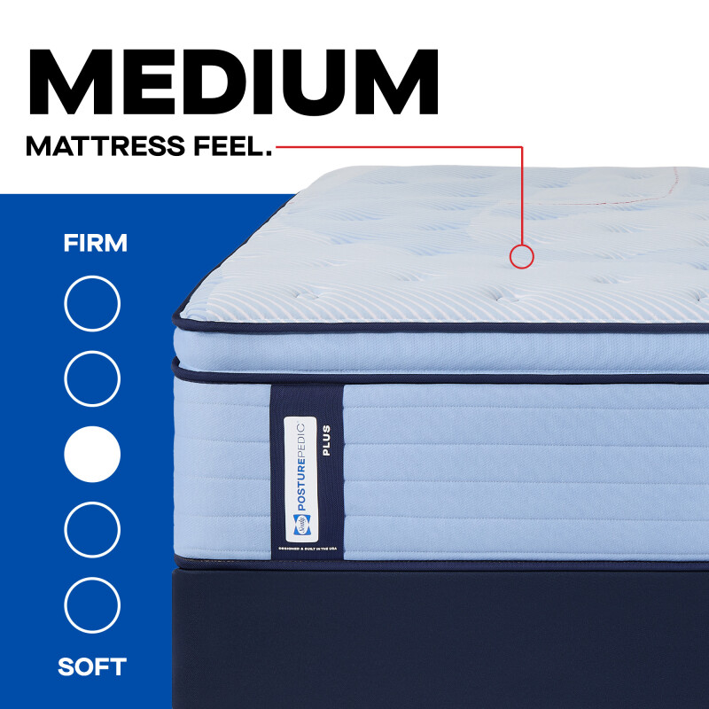 Hartsgrove Euro Pillow Top Medium Queen 53218451