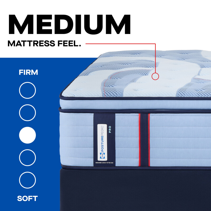 Isley Euro Pillow Top Medium King 53218961