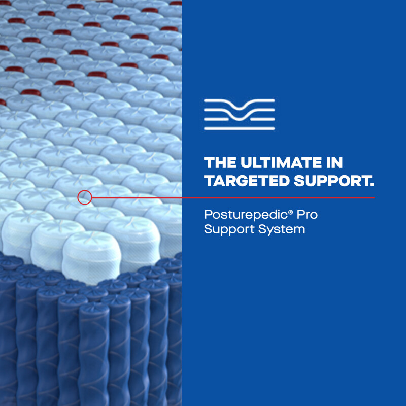 Lansdale Euro Pillow Top Soft Queen 53220651