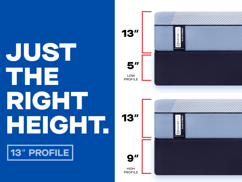 Equus Medium Twin XL 53227131