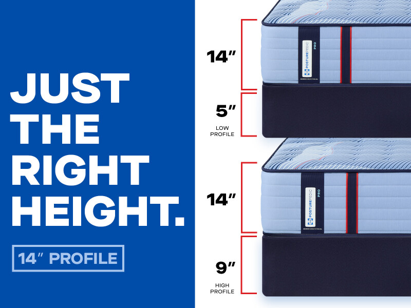 Sonterra Tight Top Firm Cal King 53242962