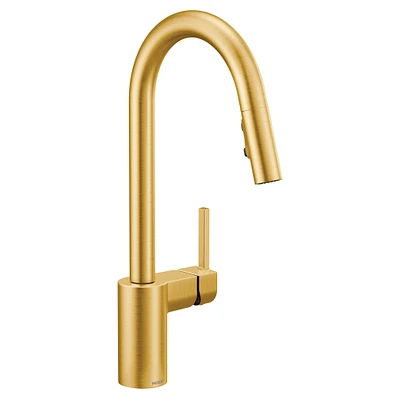 Align One-Handle High Arc Pulldown Kitchen Faucet 7565BG