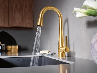 Sleek One-Handle Pulldown Bar Faucet 7664BG