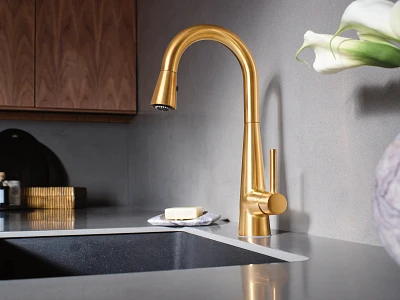 Sleek One-Handle Pulldown Bar Faucet 7664BG