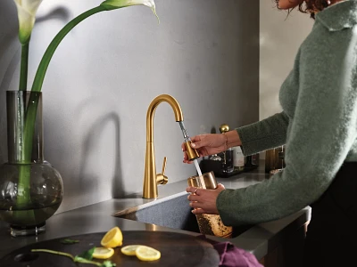 Sleek One-Handle Pulldown Bar Faucet 7664BG