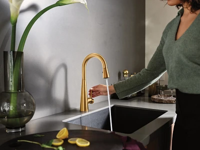 Sleek One-Handle Pulldown Bar Faucet 7664BG