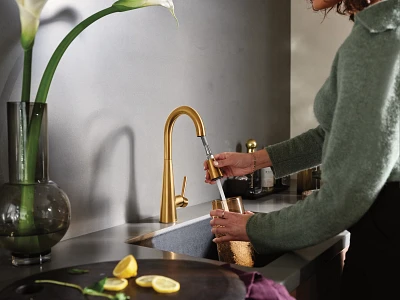 Sleek One-Handle Pulldown Bar Faucet 7664BG