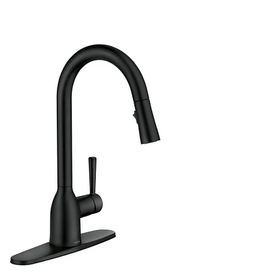 Adler One-Handle High Arc Pulldown Kitchen Faucet 87233BL