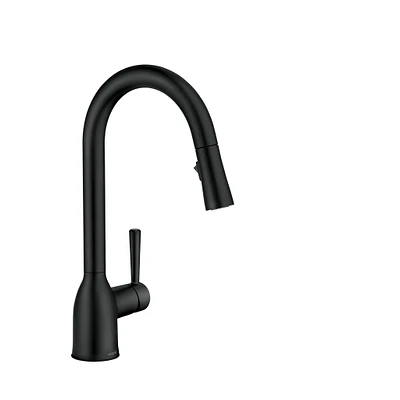Adler One-Handle High Arc Pulldown Kitchen Faucet 87233BL