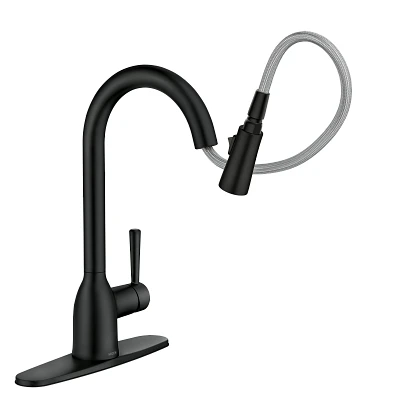 Adler One-Handle High Arc Pulldown Kitchen Faucet 87233BL