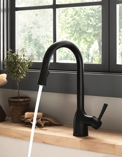 Adler One-Handle High Arc Pulldown Kitchen Faucet 87233BL