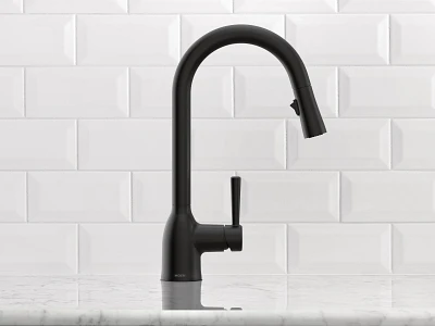 Adler One-Handle High Arc Pulldown Kitchen Faucet 87233BL