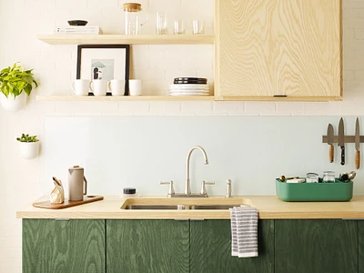 Stevie Two-handle High Arc Kitchen Faucet 87292SRS