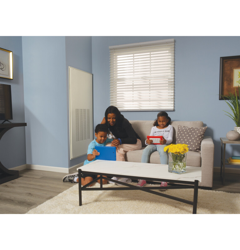 Zoneline UltimateV10 Cool/Electric Resistance Heat Vertical Air Conditioner 230-208 Volt AZ95E09DAC