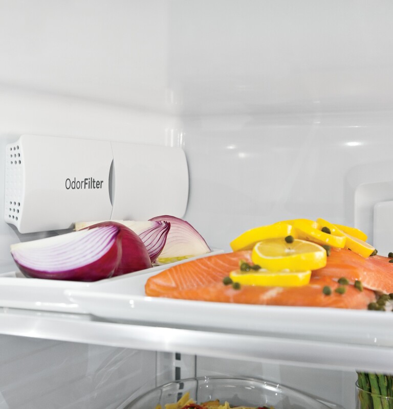 GE Series 28.6 Cu. Ft. French-Door Refrigerator CFE29TSDSS