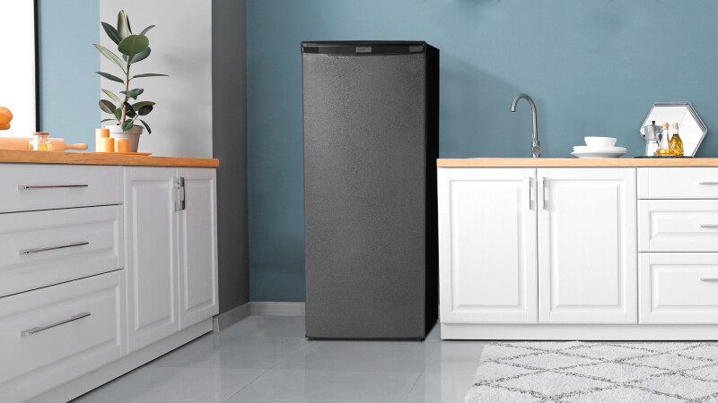 Designer 11.0 cu. ft. Apartment Size Fridge DAR110A1TDD