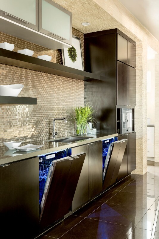 Star Sapphire Dishwasher  24" Custom Panel Ready  DWHD870WPR DWHD870WPR