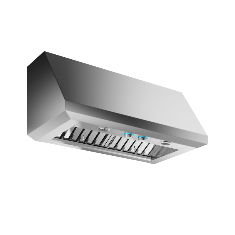 Calabria 42" Wall-mount Range Hood ECL142S4
