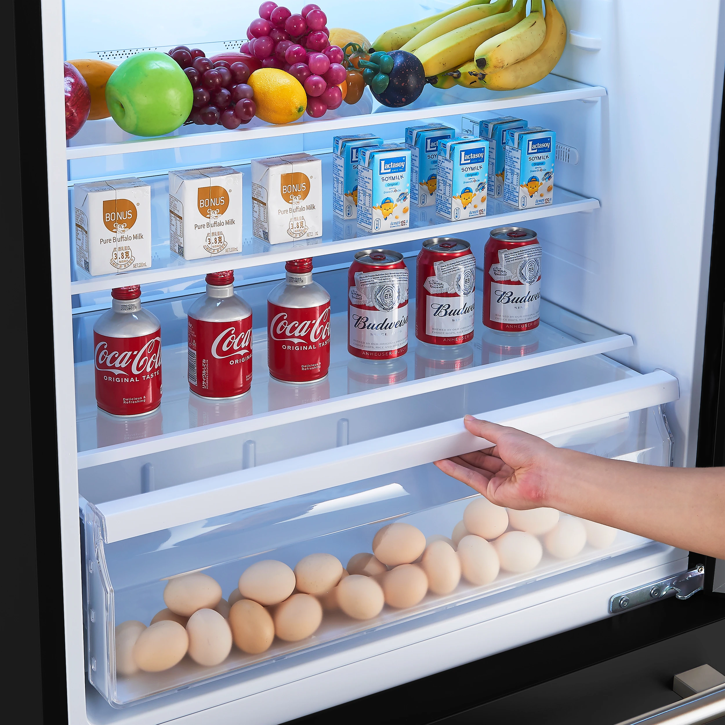 Milano Espresso 31-Inch Bottom Freezer Refrigerator, Black, 17.2 cu.ft Capacity, Energy Efficient FFFFD178531BLK