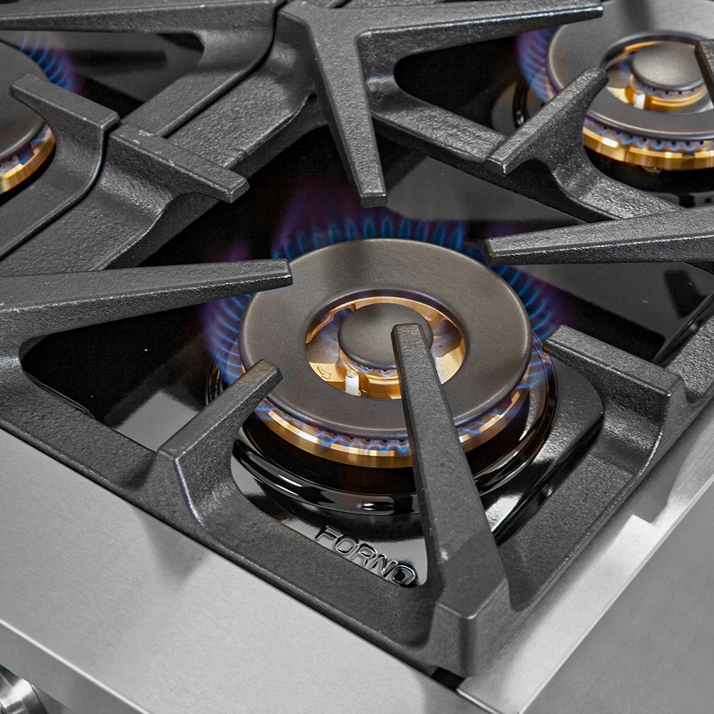 Capriasca 36-Inch Gas Range, Stainless Steel, 6 Brass Burners, 120,000 BTU, Convection Oven, Energy Efficient FFSGS626036