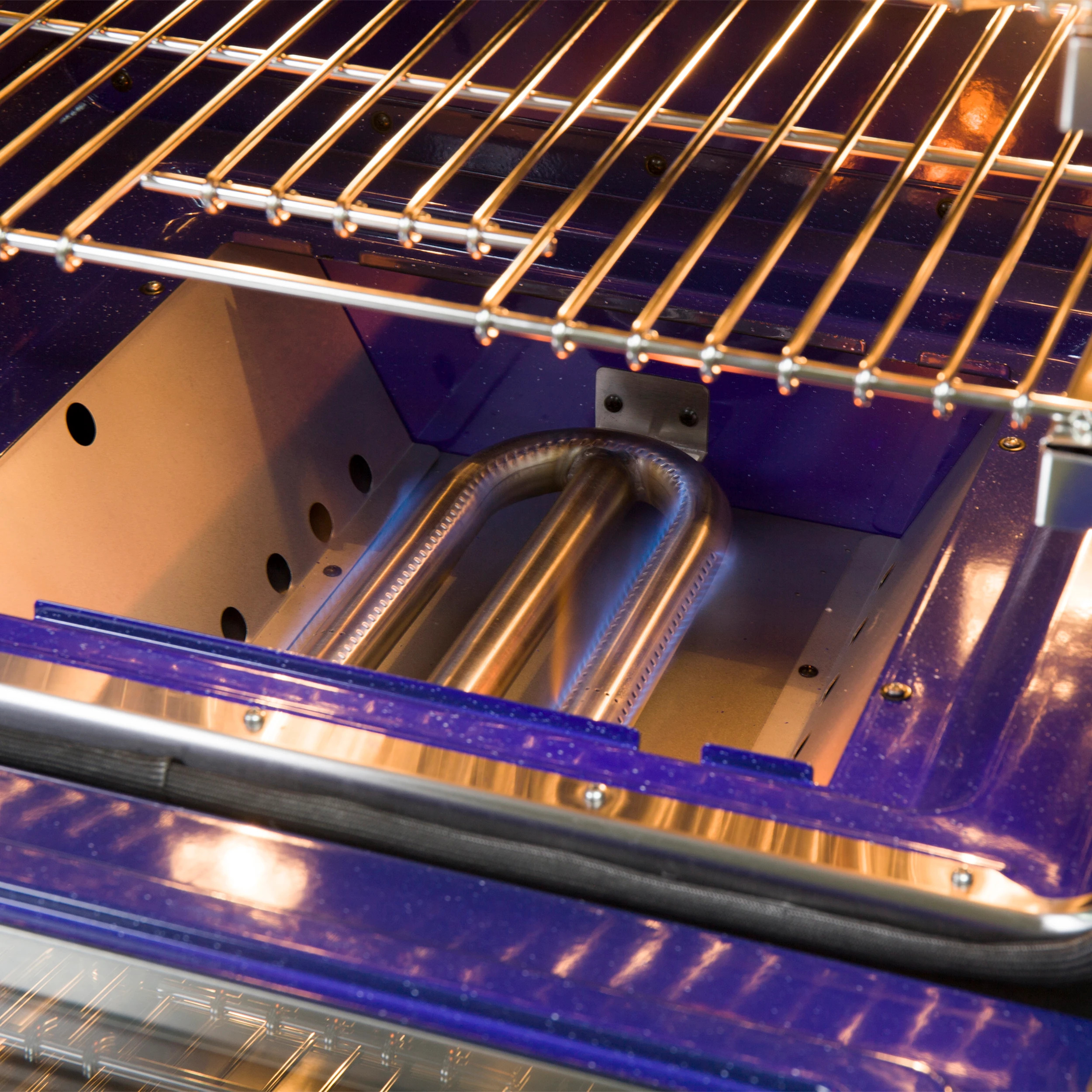 Capriasca 60-Inch Freestanding Gas Range, 10 Burners, True Convection Oven FFSGS626060