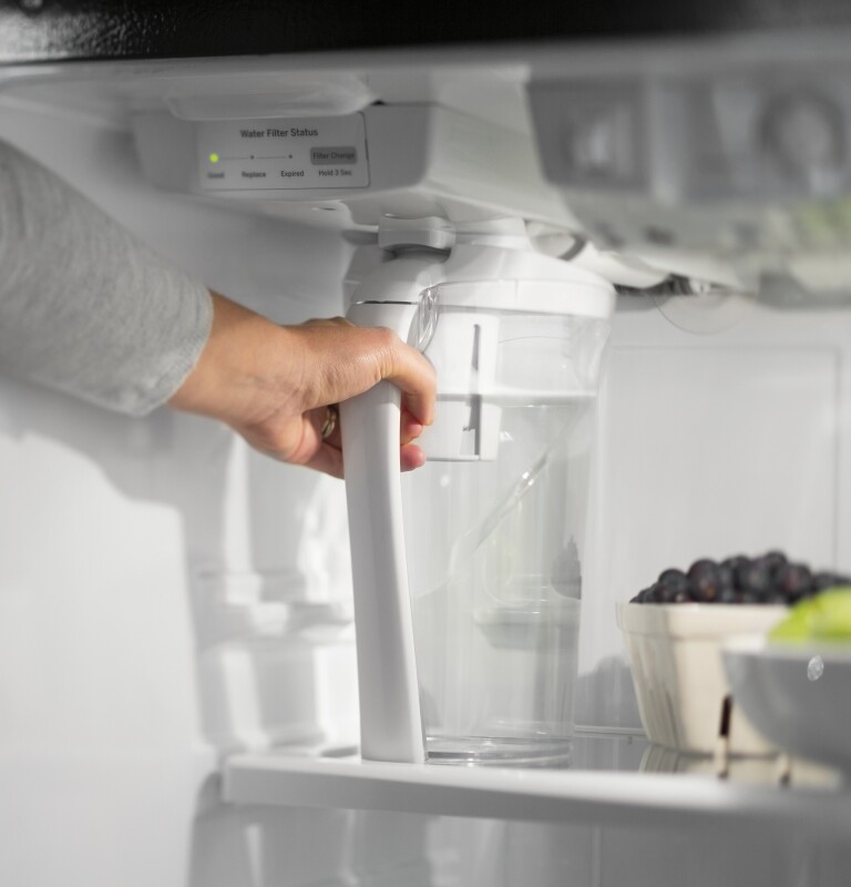 17.5 Cu. Ft. Top-Freezer Refrigerator with Autofill Pitcher GAS18PSJSS