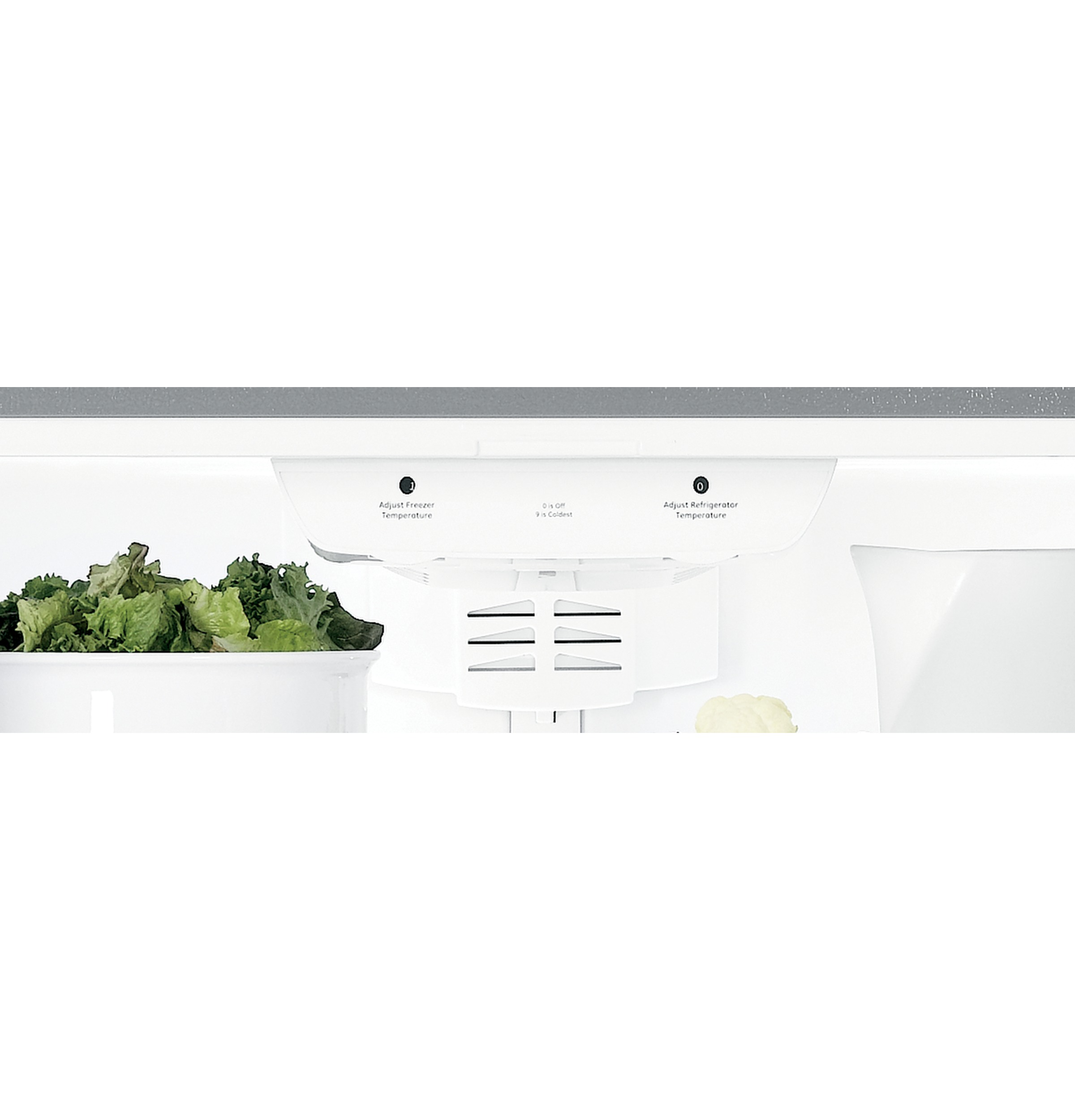 20.3 Cu. Ft. Bottom Freezer Refrigerator GBSL0HCXRLS