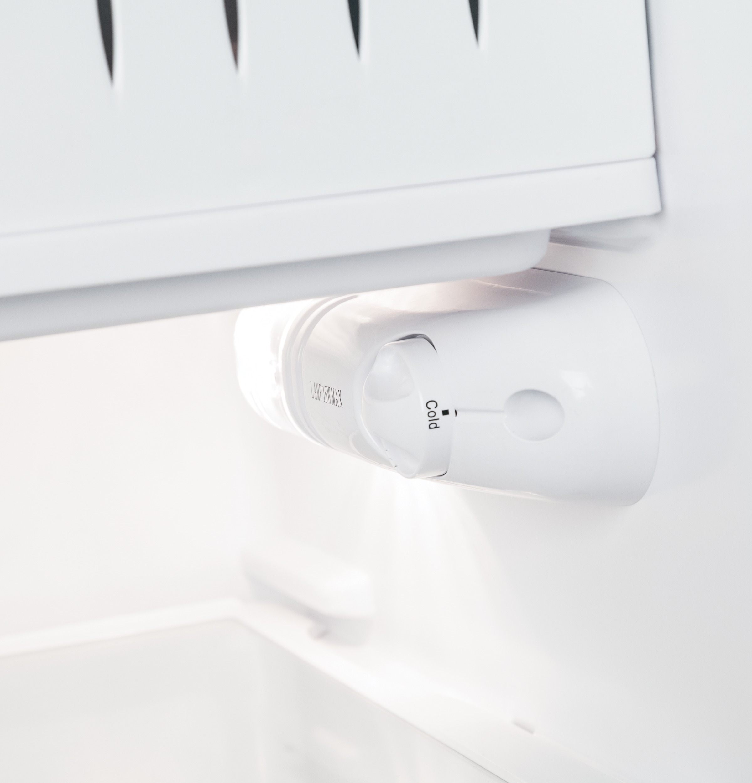 Compact Refrigerator GCE06GGHWW