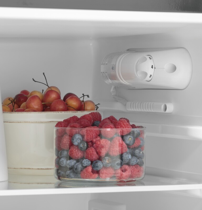 9.8 Cu. Ft. 12 Volt DC Power Top-Freezer Refrigerator GPV10FGNBB